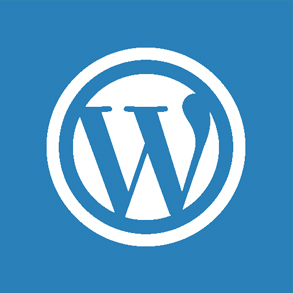 wordpress Development